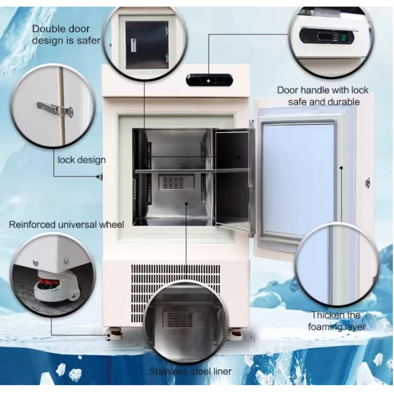 Labotemp Biomedical And Plasma Freezer