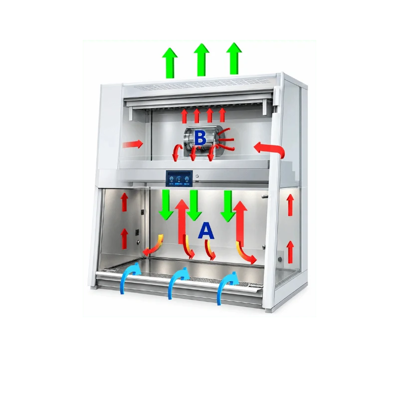 Biological cabinet diagram